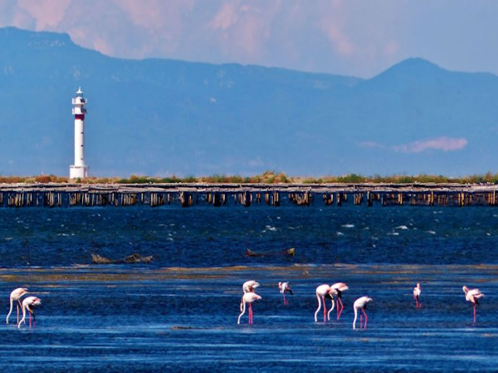 Fishing in the Ebro Delta — Best Seasons & Proven Techniques