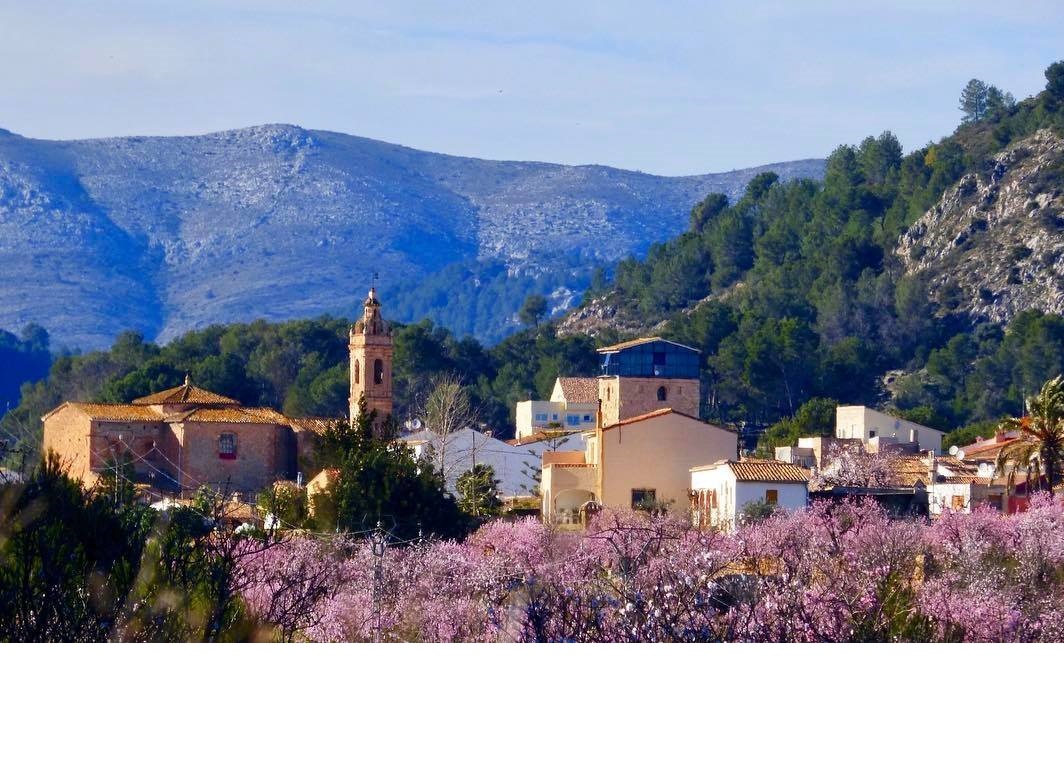 ferien in alcalali 2