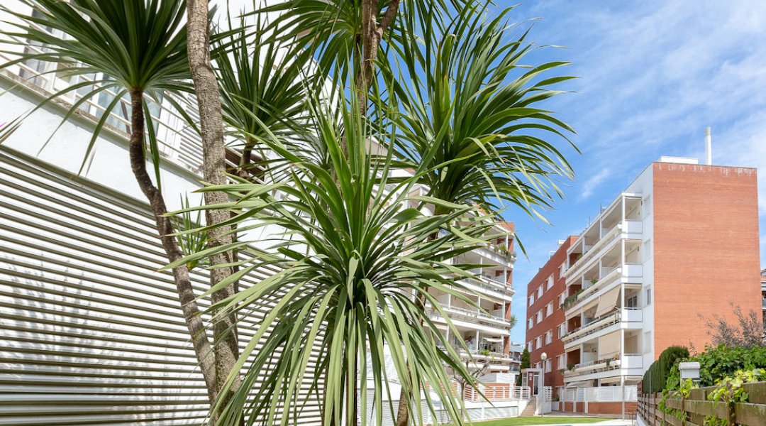 Lloret de Mar Fenals Apartment rentals in Spain