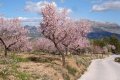 Urlaub an der Costa Blanca in Spanien