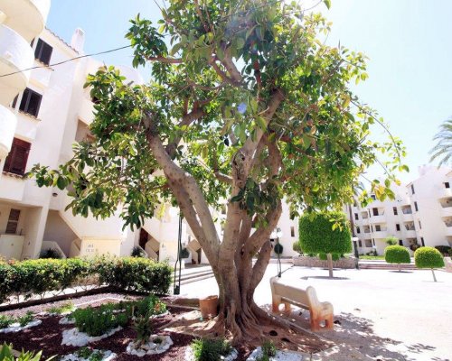 Spanien Costa Blanca Ferienwohnung am Strand