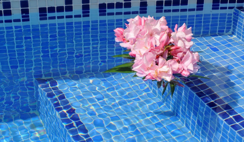 EC 310/2 Casa para 6 Personas con Piscina Comunitaria en l'Escala – Costa Brava