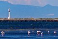 Urlaub im Naturschutzpark des Ebro Delta
