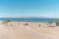 Urlaub im Naturschutzpark des Ebro Delta