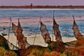 Urlaub im Naturschutzpark des Ebro Delta
