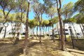 appartements-calella-de-palafrugell-mieten-9