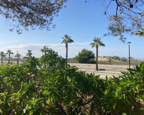 Spanien Ferienhaus am Meer im Ebro Delta