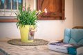 Ferienhaus mieten an der Costa Brava