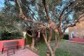 Appartement in Castell d'Albons in Katalonien