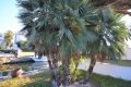 Villa de vacaciones en Empuriabrava con amarre privado en el canal Falconera