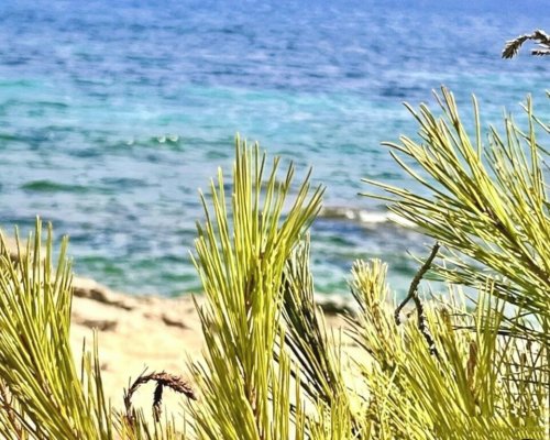 Moraira Appartement direkt am Strand für 4 Personen mit Meerblick an der Costa Blanca in Spanien