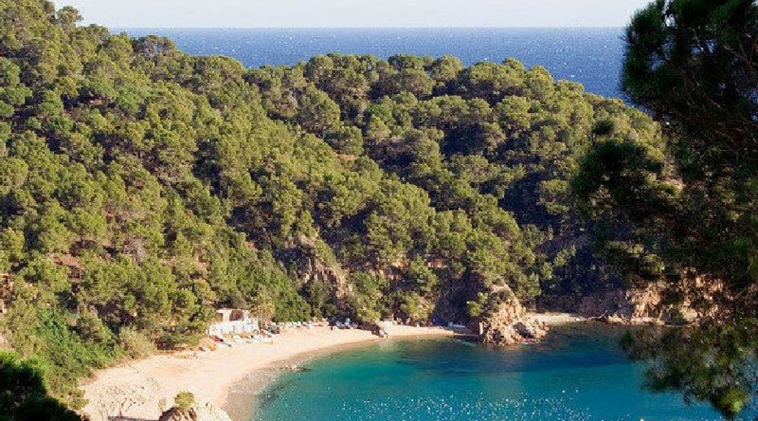 Family holiday in Cala Canyelles, Costa Brava