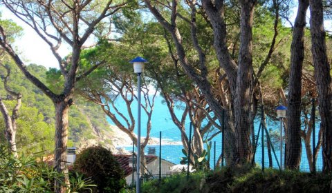 PA 109/6 Apartment near the beach for 2/4 persons with in Llafranc on the Costa Brava