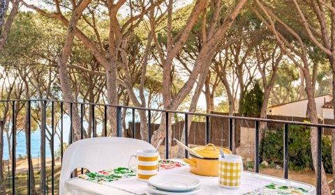 PA 109/7 Apartment near the beach for 2/4 persons with in Llafranc on the Costa Brava