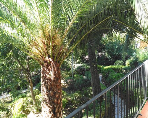 Spanien Appartement in Llafranc an der Costa Brava