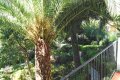 Spanien Appartement in Llafranc an der Costa Brava