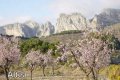 Ferien an der Costa Blanca auf dem Land